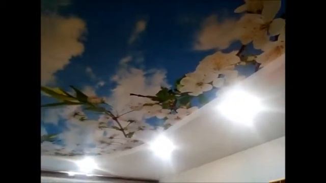 Двухуровневый натяжной потолок с фотопечатью цветы