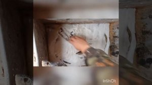 Сухой посол окуня!