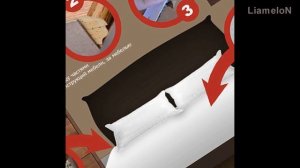 Как вывести постельных клопов в домашних условиях ?