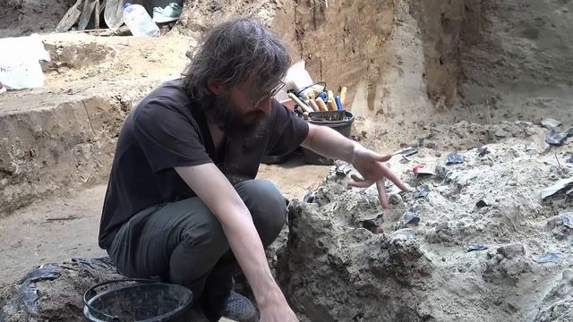 Здесь жили неандертальцы  Секреты работы археолога  Дробышевский, Очередной, Степанова