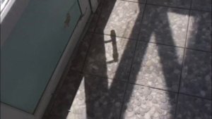 Какую плитку не стоит класть на пол