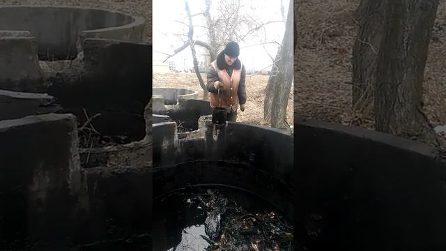 Мазута. Набор мазуты.