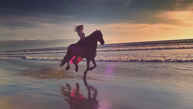 Роза пустыни