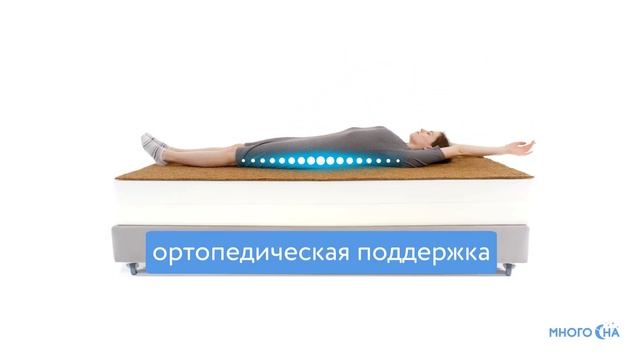 Матрас Comfort Line Cocos Roll Classic+ | Видеообзор от МногоСна