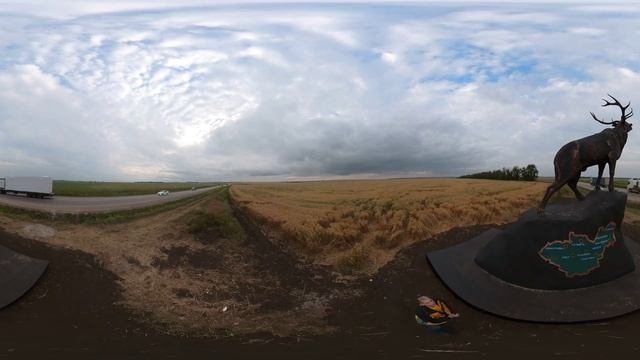 Скульптура изюбра. Черемховский район, Иркутская область. #Insta360OneX2 смотреть онлайн