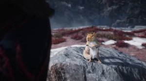 Флютинг с белкой ☺ Assassin’s Creed Valhalla