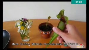 Внимание!!!взял видео от klunatik