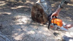 STIHL MS 231