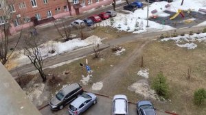 Нападение Бродячих Собак На Людей Бездомные Собаки Куда Обращаться