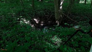 #249 Лесной поиск с Garrett Apex