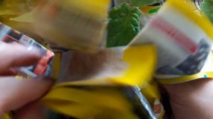 Распаковка посылочки с фиалками!!Красота!!