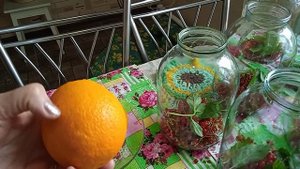 #вкуснейший компот из красной смородины, апельсина и мяты.