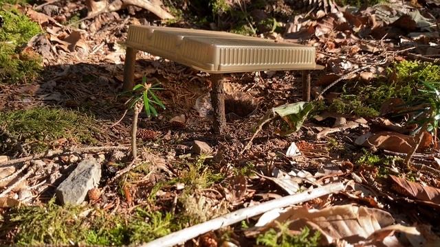 ЭНТОМОЛОГИЧЕСКАЯ ЛОВУШКА НА ЖУЖЕЛИЦ смотреть онлайн