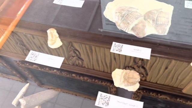 Пришли в Ильменский заповедник ? смотреть онлайн