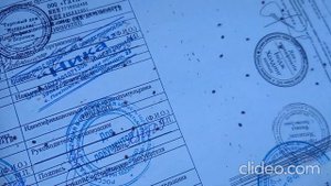 Аэрозоль амитраз фирмы Wangshi!