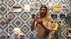 Как держать ножницы грумеру