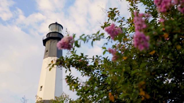 It's Time to Visit Savannah | Savannah, Georgia смотреть онлайн