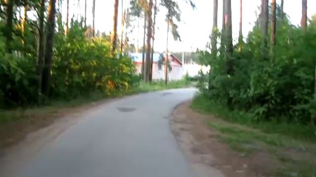 Хвойная Новгородская область