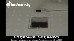 Инкубатор бытовой 63 яйца с цифровым табло Идеальная наседка (механическим поворот яиц 220В)