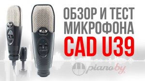 Обзор микрофона CAD U39