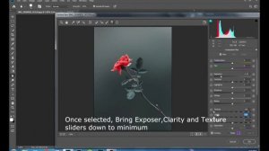 Замена фона в Фотошопе || Red Blue Color Grading & Background Blur   Flower || Photoshop