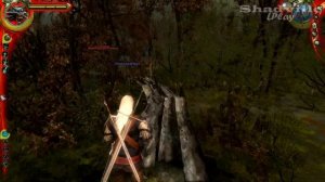 The Witcher Прохождение #22: Виверна Моа и волк Вореф