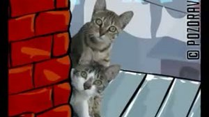 С НАСТУПАЮЩИМ 8 МАРТА!!!!!