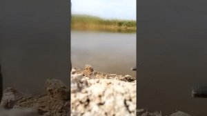 рыбалка в бриньковской 2