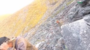 Охота на черношапочного сурка в горах Якутии.