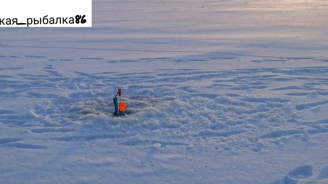 Обь. 17.12.2023г.