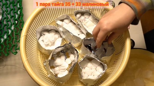 Как интересно покрасить 12 пар носков/Уроки тай-дай/Что делать если не нравится результат смотреть онлайн