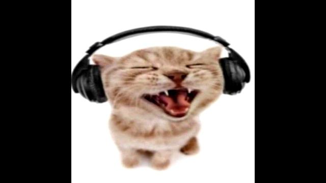[FREE] HOUSE PHONK X TECHNO RAVE Type Beat-  "cat"