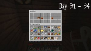 I Survived 100 Days in ONE PIECE Minecraft Mod