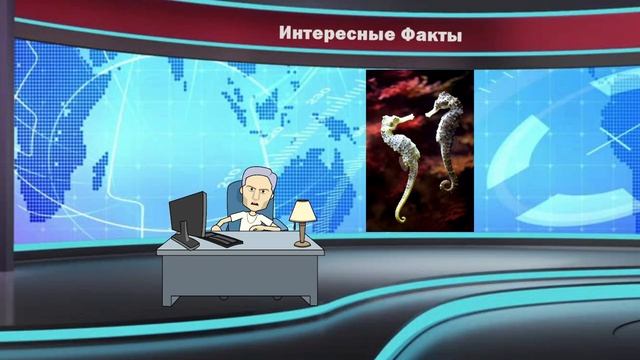 Интересные Факты, 12 Фактов О Животных, О Которых Интересно Узнать (Анимационная Сцена)