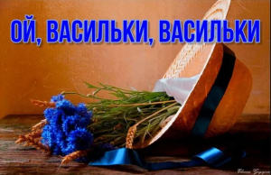 Ой- васильки- васильки.mp4