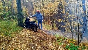 МОЙ ПЕРВЫЙ ВЫЕЗД / НА ЧТО СПОСОБЕН СКУТЕР В ЛЕСУ?