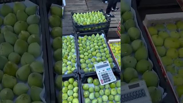 Выращиваем инжир в турции импортировать можем в Краснодар фрукты от марченко