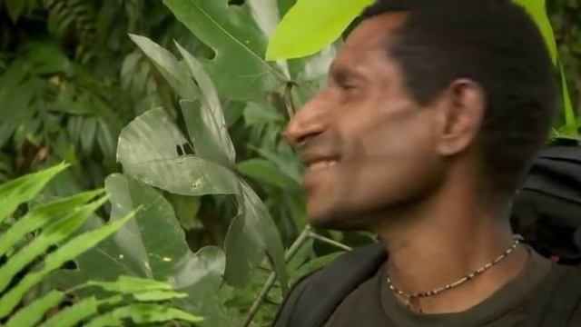 Mysterien der Menschheit - Kannibalismus [GERMAN DOKU] смотреть онлайн