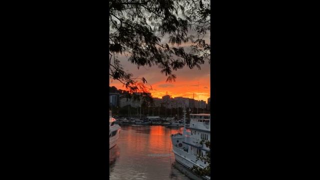 Rio Sunrise , { Bossa-Me Mucho } смотреть онлайн