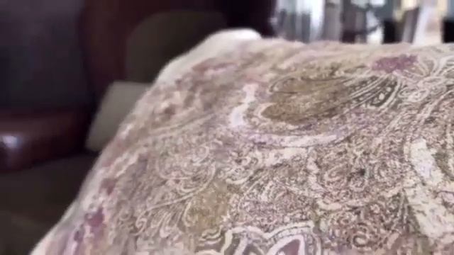 Дизайнерская мебель испанского бренда в Ставрополе смотреть онлайн