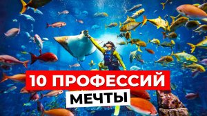 ЗАБУДЬ О СКУЧНОЙ РАБОТЕ! ТОП-10 профессий мечты, которые изменят твою жизнь!