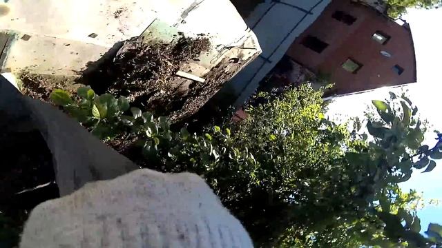 4.mp4 смотреть онлайн