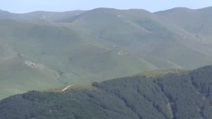 Привольное Армения.