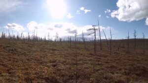 Становой хребет