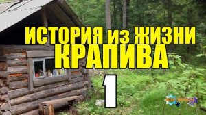 ИСТОРИИ ИЗ ЖИЗНИ | СУДЬБА ЧЕЛОВЕКА 1 из 2