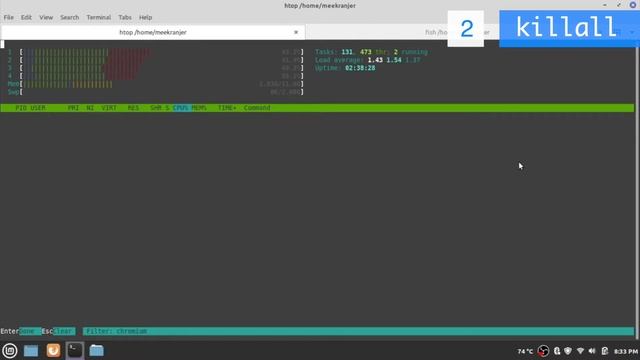 4 ways to kill Linux processes – kill, killall, pkill, xkill