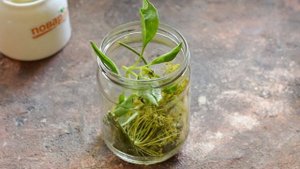 Огурцы с базиликом на зиму