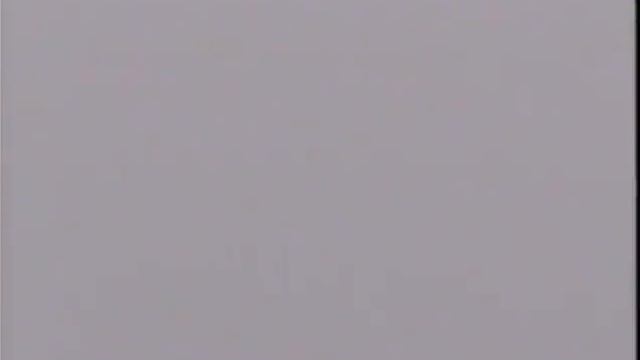 12 Социализация