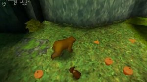 Brother Bear(Братец Медвежонок) запуск и проверка 2021 году