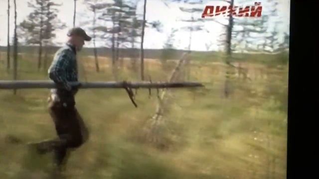 Охота в Суоми канал Дикии перевод Daria Skippari-Smirnov